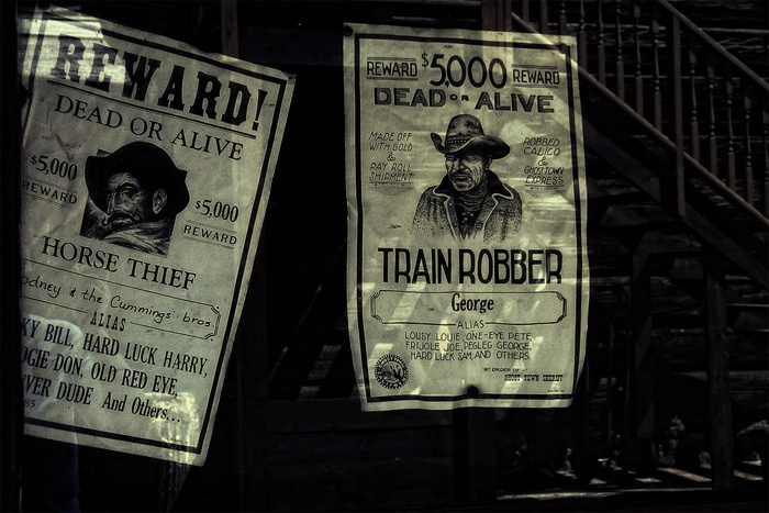 两个，奖励海报，5000美元奖励，保修，男人，人，遗产，古董