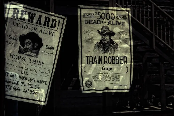 两个，奖励海报，5000美元奖励，保修，男人，人，遗产，古董