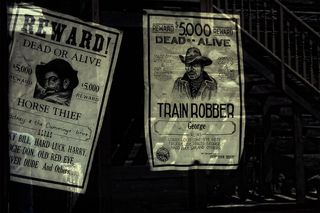 两个，奖励海报，5000美元奖励，保修，男人，人，遗产，古董