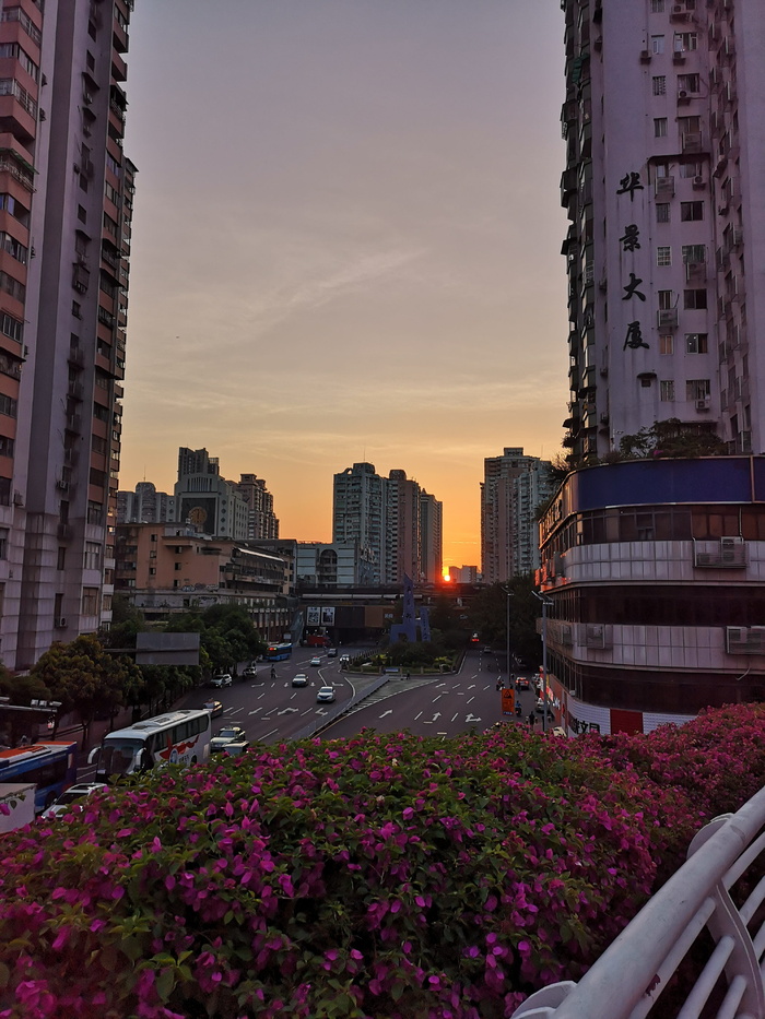 广州，日落，街道，建筑结构，建筑，建筑外观，城市，建筑