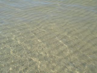 伊利湖，沙滩，硬沙，海滩，湖泊，海洋，水，海滨