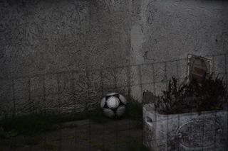 灰色栅栏附近的黑白球