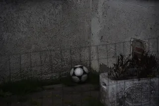 灰色栅栏附近的黑白球