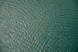 水上主题艺术品的照片