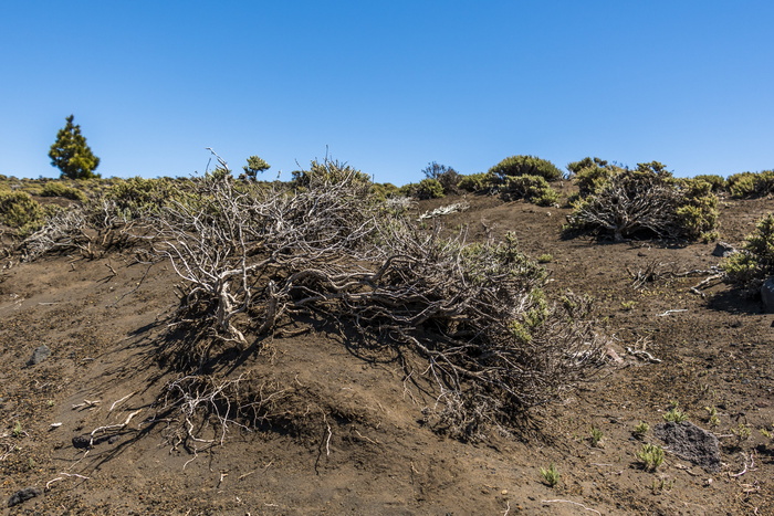 火山，加那利群岛，火山，西班牙，景观，自然，山地，干燥