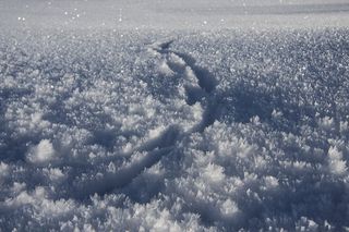 Snow、Trace、Winter、eiskristalle、who、nature、backgrounds、no people