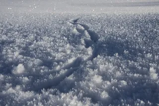 Snow、Trace、Winter、eiskristalle、who、nature、backgrounds、no people