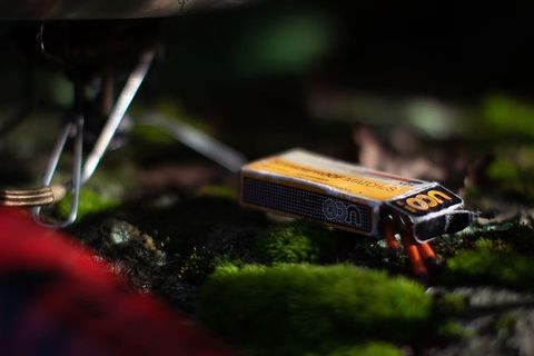 美国，蟹树瀑布，选择性聚焦，特写，植物，无人，自然，白天