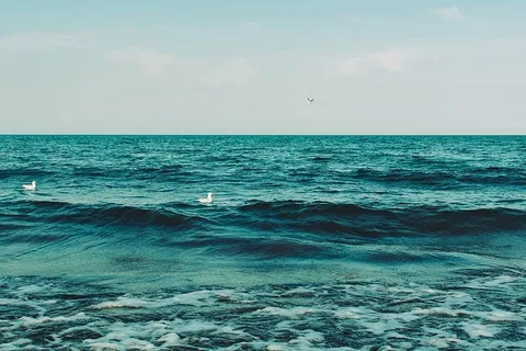 风景摄影,白色,鸟类,海水,白天,二,蓝色,海洋 风景摄影,白色,鸟类,海水,白天,二,蓝色,海洋