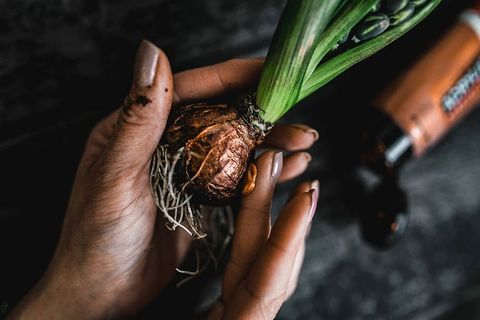 在一个小罐子里做一个小观赏幼苗的女人