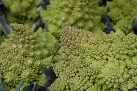 蔬菜,蔬菜,花椰菜,绿色,分形,分形,农业,作物 蔬菜,蔬菜,花椰菜,绿色,分形,分形,农业,作物