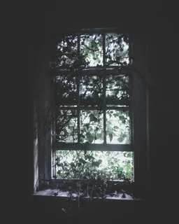 带藤蔓的木窗玻璃 带藤蔓的木窗玻璃