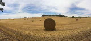 澳大利亚，罗兰平原，亨茨克路67号，贝尔，海伊，农业，景观，农场