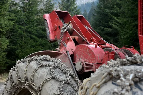 木材, 切片, 伐木工人, 森林, 山, 切, 树, 大包