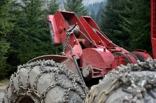 木材, 切片, 伐木工人, 森林, 山, 切, 树, 大包