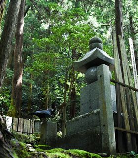 日本、京都、绿色、黑色、公墓、森林、树木、乌鸦 日本、京都、绿色、黑色、公墓、森林、树木、乌鸦