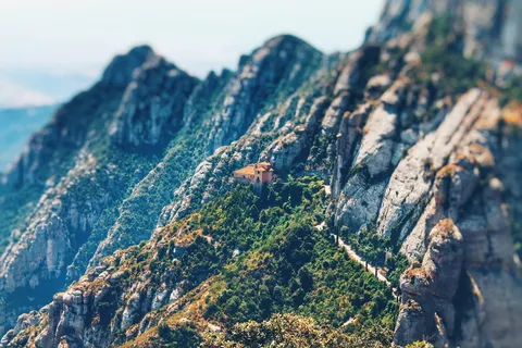 有树木的灰色落基山 有树木的灰色落基山
