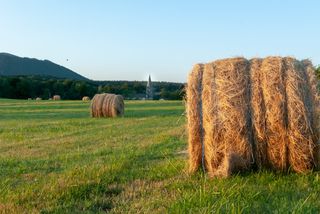田地、田地、大草原、小山、稻草、bote、滚筒、乡村
