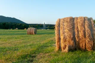田地、田地、大草原、小山、稻草、bote、滚筒、乡村