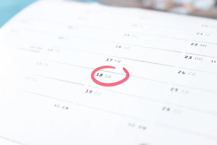 白色打印纸，时间，日历，周六，周末，日，日，日期