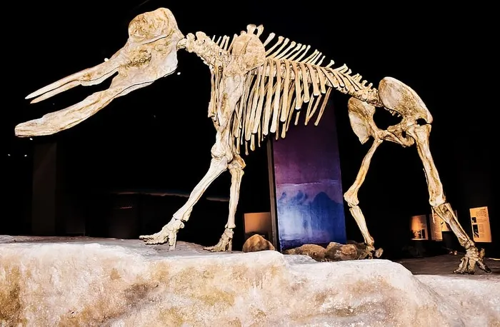 艺术、雕塑、阿卜杜勒·阿齐兹国王历史、利雅得、沙特、历史、博物馆、雕像