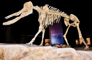 艺术、雕塑、阿卜杜勒·阿齐兹国王历史、利雅得、沙特、历史、博物馆、雕像