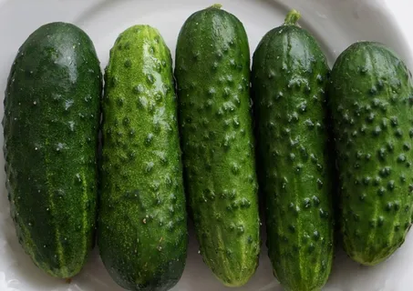黄瓜,蔬菜,食品,绿色,厨房,青贮黄瓜,制剂,米泽里亚 黄瓜,蔬菜,食品,绿色,厨房,青贮黄瓜,制剂,米泽里亚