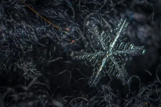 雪花、宏、雪、羊毛、植物、自然、特写、白天