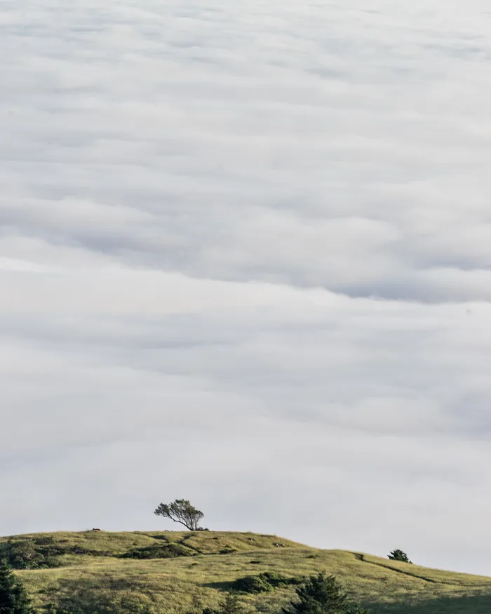 景观摄影，树，山，云，天，高地，山，景观