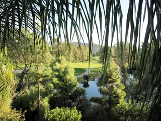 风景，假期，旅行，夏天，自然，蓝色，暑假，天空