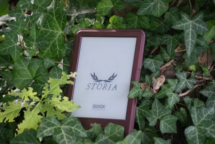 电子阅读器、电子书、电子书、电子墨水、电子纸、平板电脑、通信、leaf