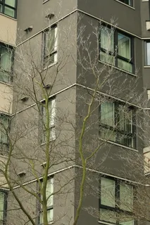 加拿大温哥华斯普林，建筑结构，建筑，建筑外观，建筑，无人