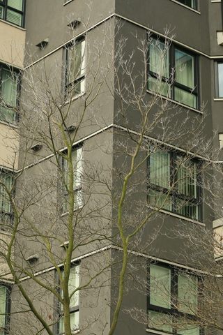 加拿大温哥华斯普林，建筑结构，建筑，建筑外观，建筑，无人