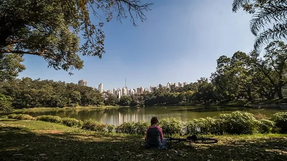女人,坐着,草,看,湖,绿,树,照片 女人,坐着,草,看,湖,绿,树,照片