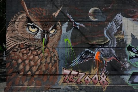 西班牙，特内里费，城市，图形，猫头鹰，乌鸦，街头艺术，艺术和工艺