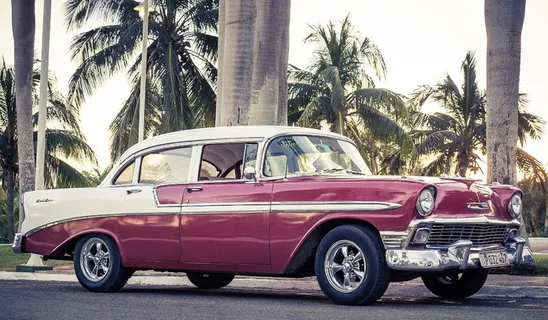 经典、白色、栗色、轿车、棕榈树、oldtimer、古巴、汽车 经典、白色、栗色、轿车、棕榈树、oldtimer、古巴、汽车