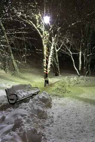 公园里的圣诞灯