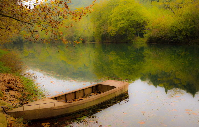 米色，陆地，干燥，树叶，油画，风景，船，秋天