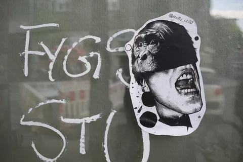 戴大猩猩面具的人