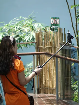 自拍、摄影、图片、手机、自我、乐趣、智能手机、拍照