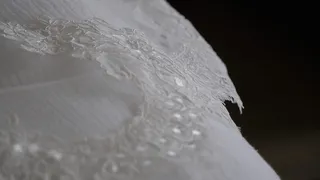 美国, 布卢明顿, 连衣裙, 白, 纹理, 花边, 鲜花, 丝绸