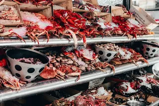 鱼，市场，海鲜，食品，鱿鱼，新鲜，捕鱼，渔民