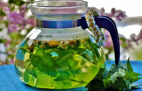 草药,茶,输液,新鲜,草药,饮料,健康,水壶 草药,茶,输液,新鲜,草药,饮料,健康,水壶