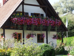 ammersee，utting，家居，阳台，花卉，装饰，植物，花卉