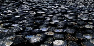 黑色和灰色的石头