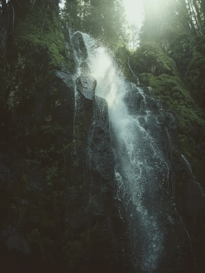 美国，草莓瀑布，自然，瀑布，水，树木，森林，俄勒冈州