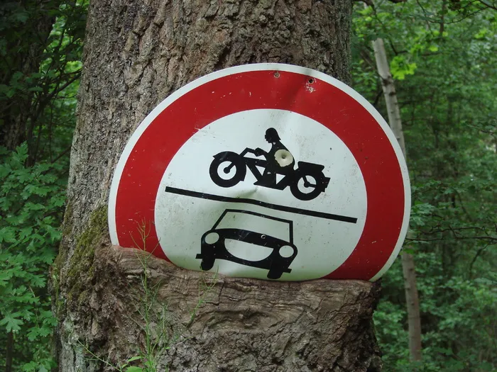 交通，自然，向内生长，杂草丛生，锁定，角色，锁定，出价