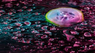 黄瓜、水滴、蔬菜、水、聚会、灯光、背景、小说