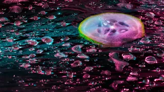 黄瓜、水滴、蔬菜、水、聚会、灯光、背景、小说