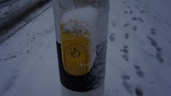 冬天，寒冷的温度，雪，特写，没有人，聚焦前景，黄色，白天